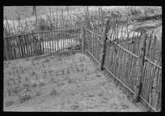 The Fenced Garden: How East Texas Families Protected Their Food Supply in 1939