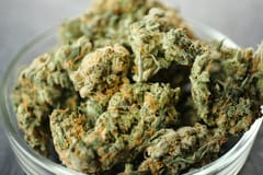 Legalize Marijuana in Texas — And Earmark the Money for Property Tax Relief