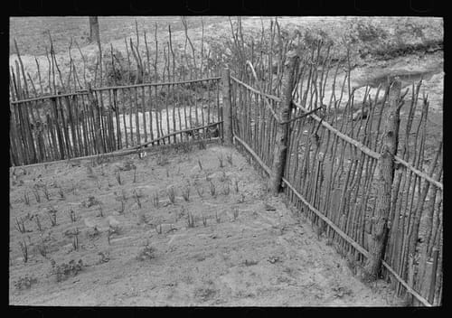 The Fenced Garden: How East Texas Families Protected Their Food Supply in 1939