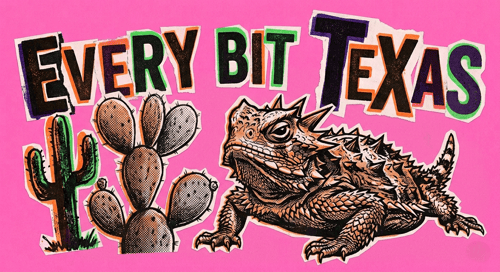 Why the Texas Horned Lizard Is Suddenly Everywhere on Google Right Now