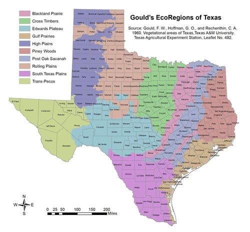 Texas Has 10 Ecological Regions — And They Explain Everything About This State