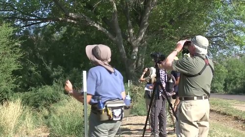 Ever wondered which Texas location holds the crown for some of the best birdwatching in the country?