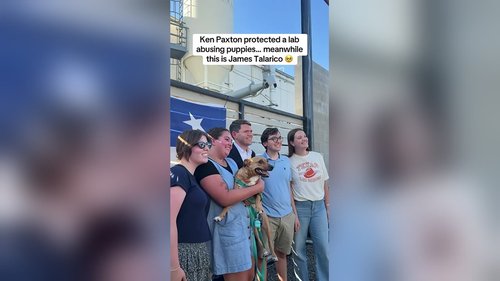 Ken Paxton protected a lab abusing puppies... meanwhile this is James Talarico