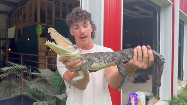 Ben Christie with a crocodile 